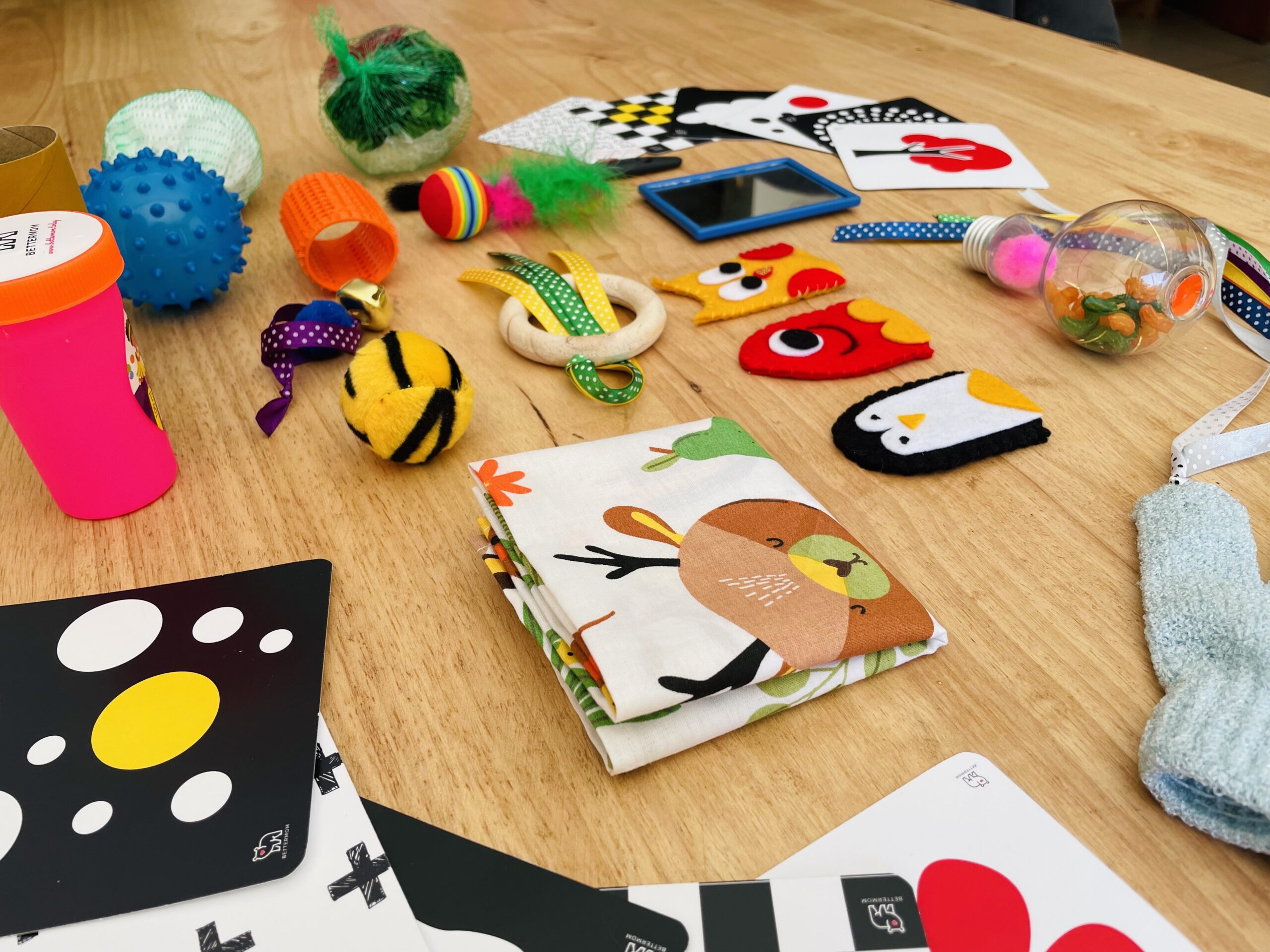 EXPANDED Early Baby Development & Stimulation Program - Image 7